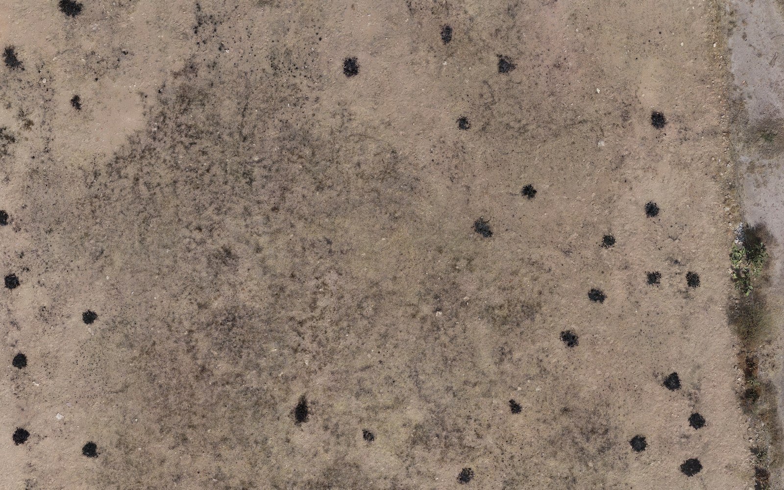 Matehuala — detalle del ortomosaico a resolución nativa