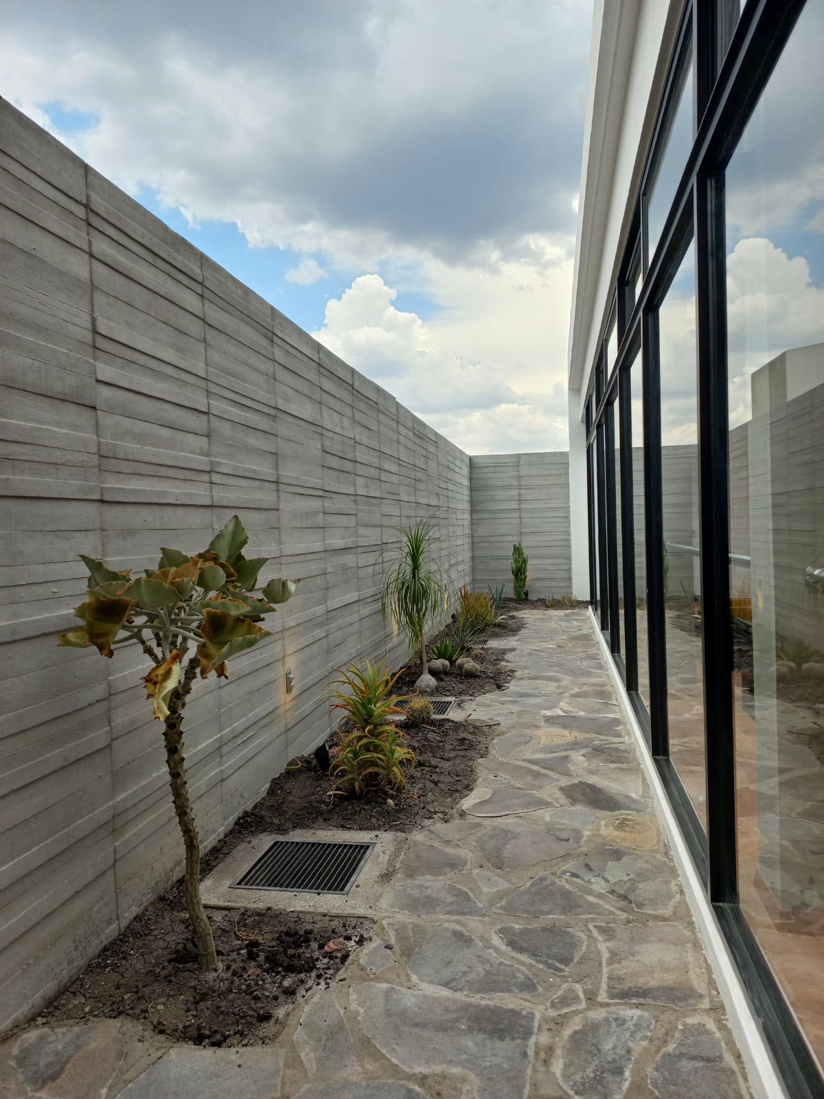 Patio del local terminado con muros de concreto cimbrado, jardinera de cactáceas y piso de laja